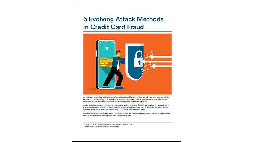 The cover of the whitepaper. On the top an illustration shows a person standing in front of a phone with a credit card on its screen holding a shield. 